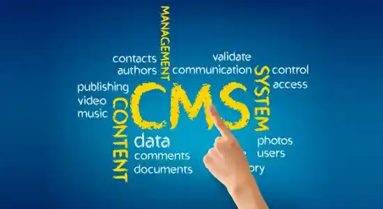 Content Management System